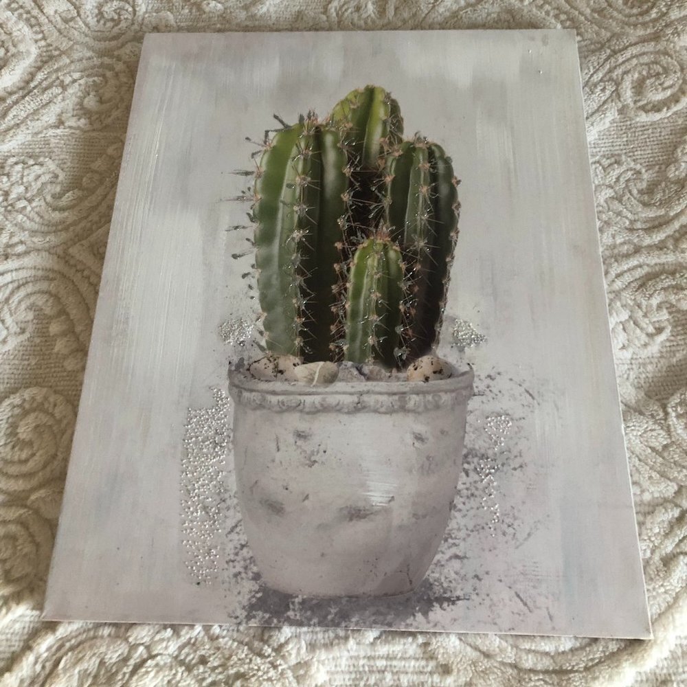BEAUTIFUL CACTUS IN POT MODERN CANVAS PICTURE